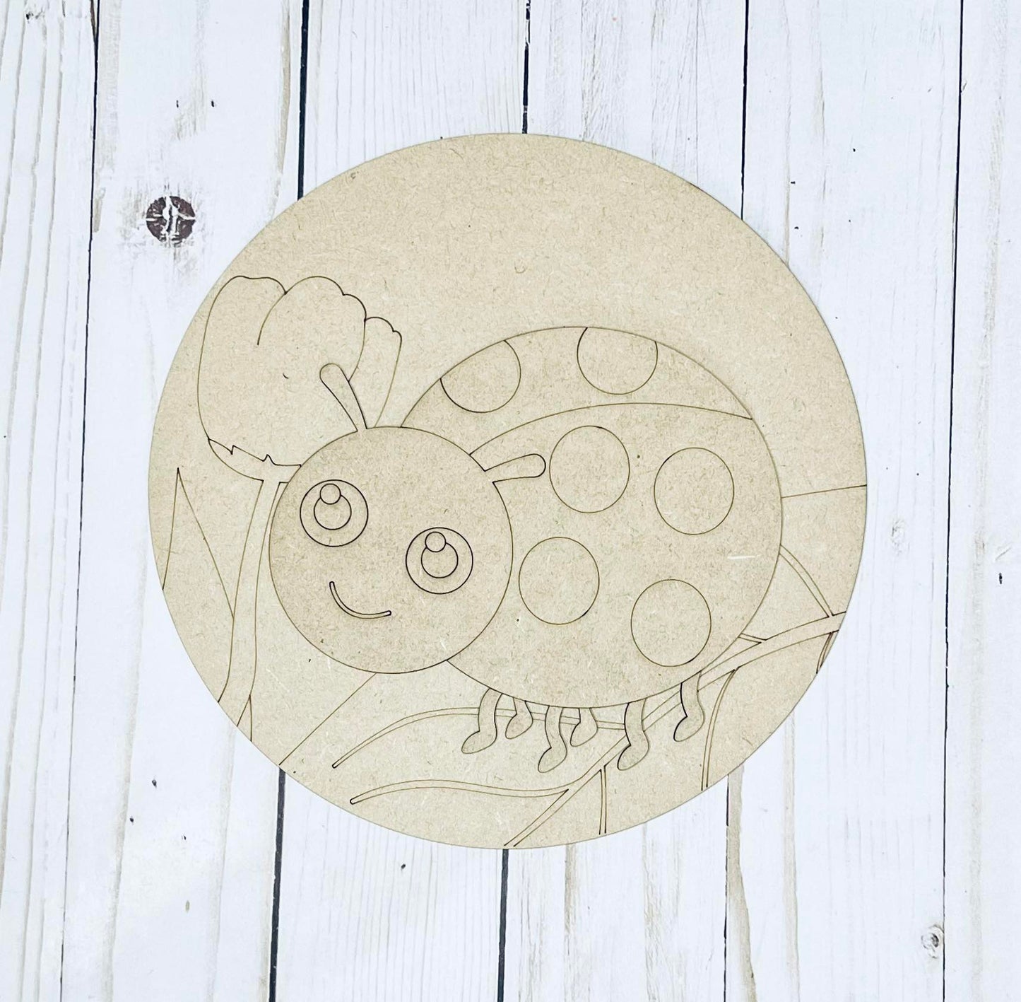 Kids Crafting Kit - Lady Bug