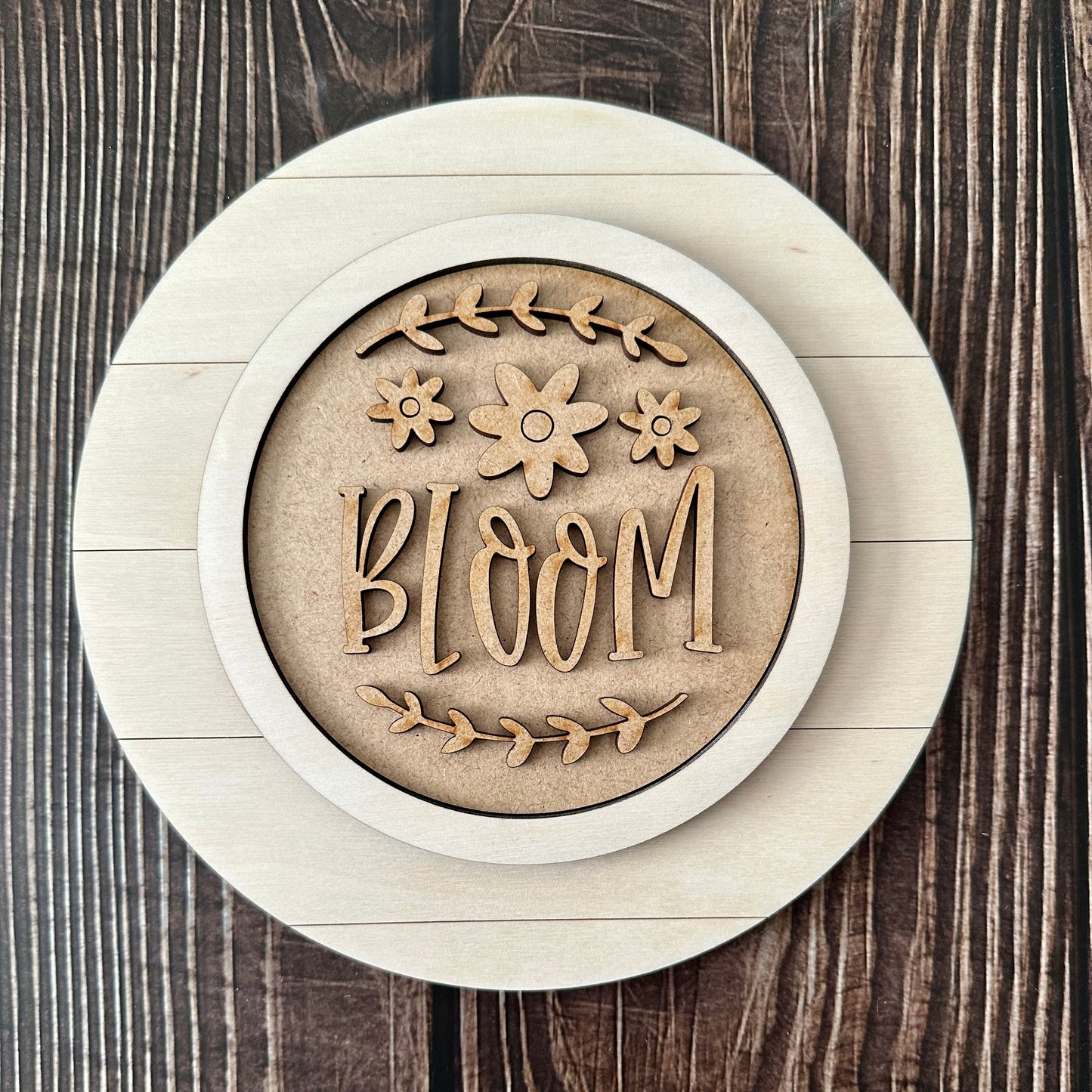 Shiplap Circle Frame DIY Sign